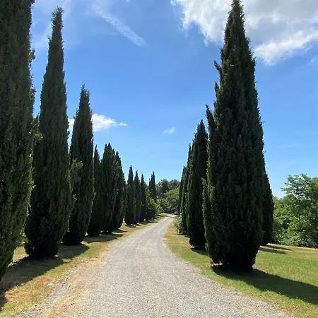 Lince-21 By Interhome アパート *